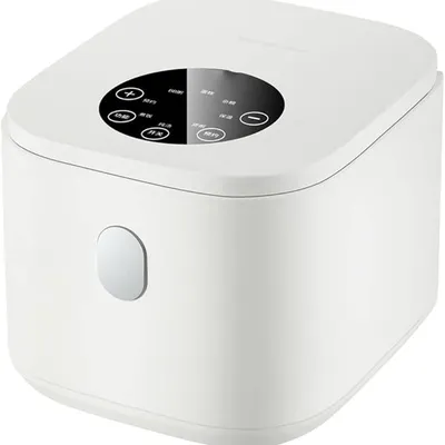 Home Multifunctional Smart Rice Cooker 1-2 Person Mini Rice Cooker Kitchen Appliances