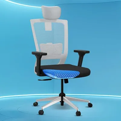 The Sleep Company Stylux Premium Ergonomic Office Chair