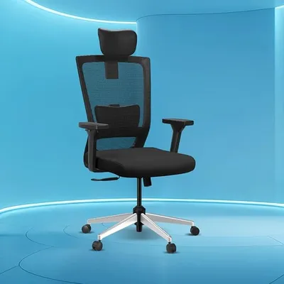 The Sleep Company Stylux Premium Ergonomic Office Chair